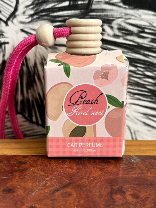 Diffuseur pour voiture « pêche »