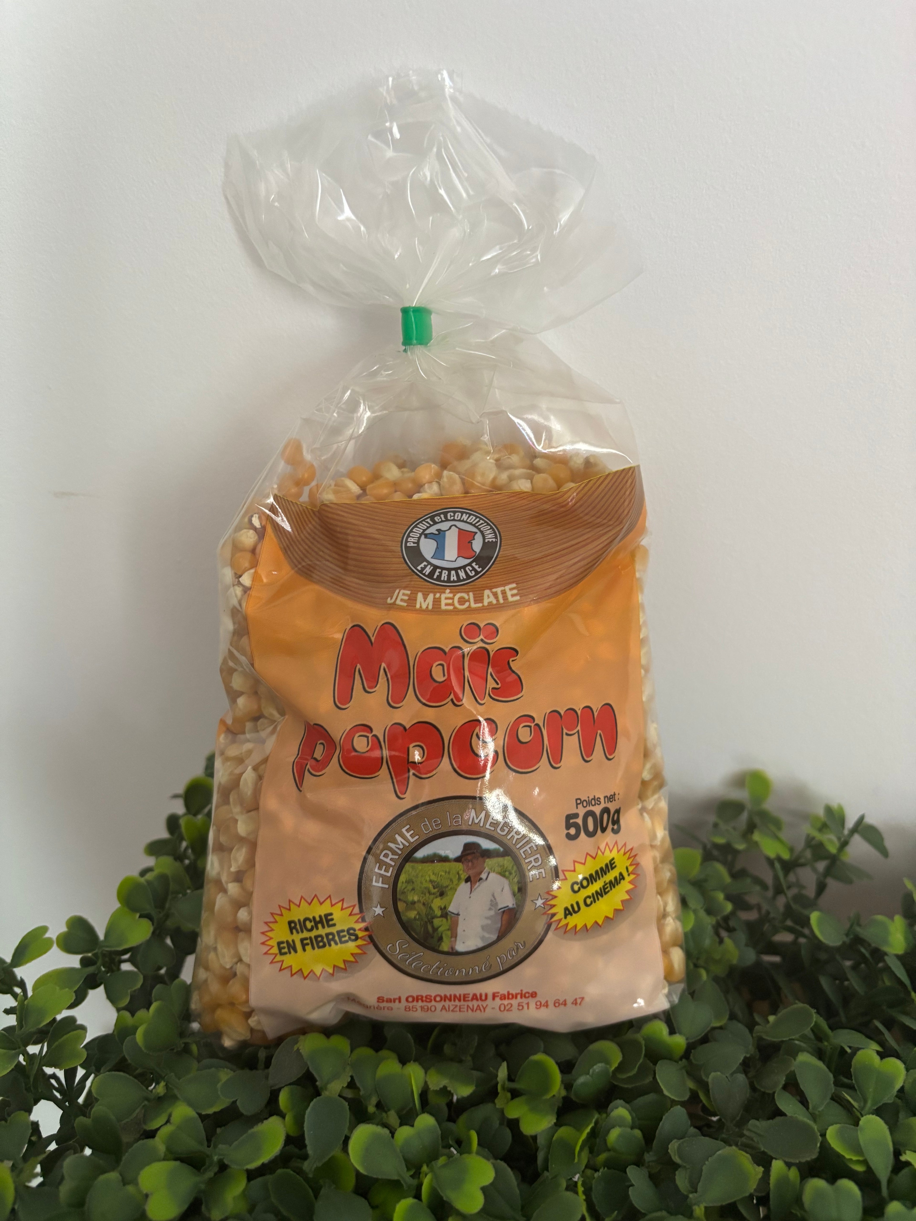 Maïs à popcorn