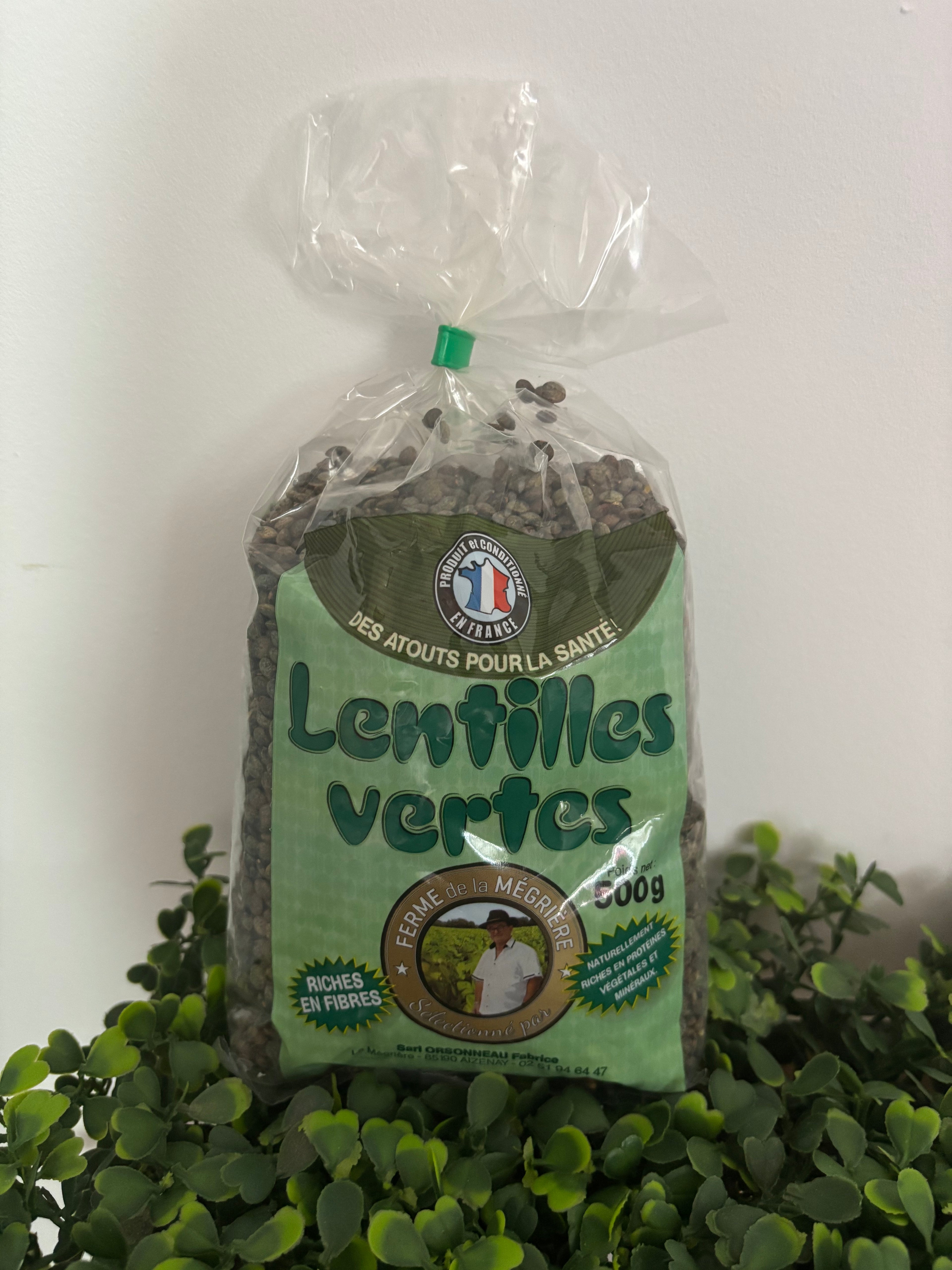 Lentilles vertes