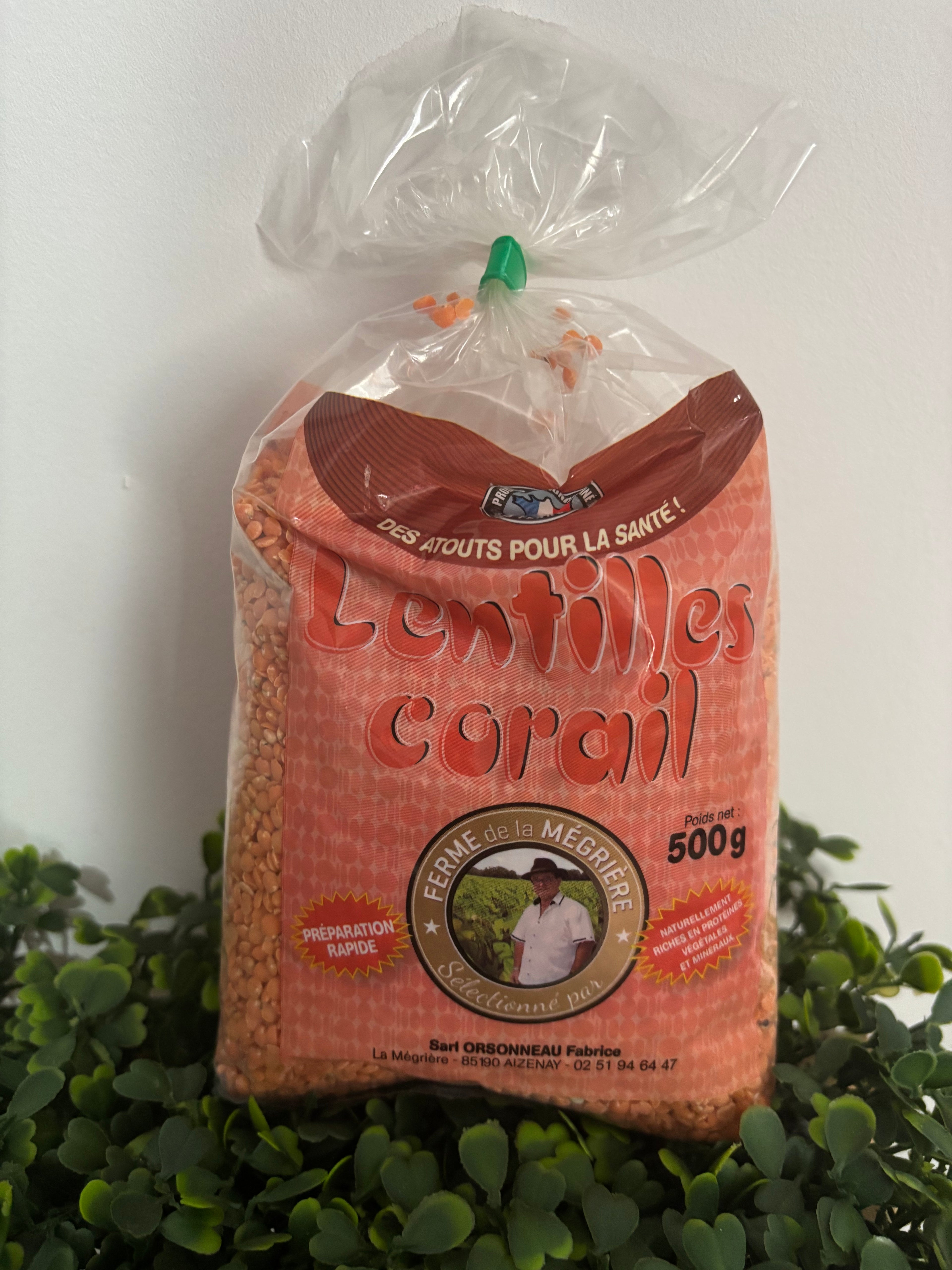 Lentilles corail